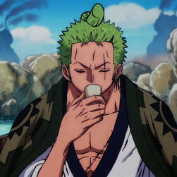 roronoa zoro